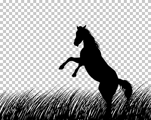 Image showing Horse silhouette on Grass Background