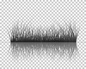 Image showing grass on water