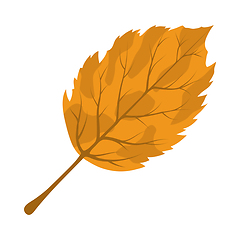 Image showing Autumn Birch Leaf