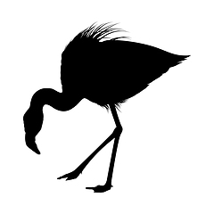 Image showing Flamingo Silhouette