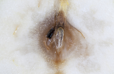 Image showing cut large ripe pear