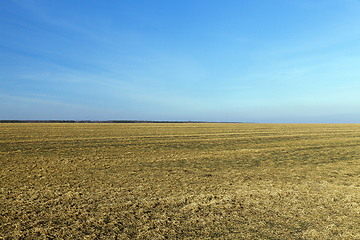 Image showing agricultural field