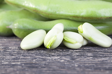 Image showing green fresh bean