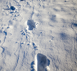 Image showing Ruts on a snow-covered road