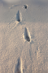 Image showing traces of the snow