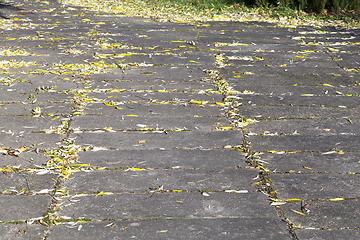 Image showing square-shaped concrete slabs