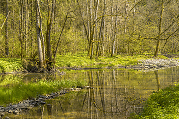 Image showing waterside scenery at spring time