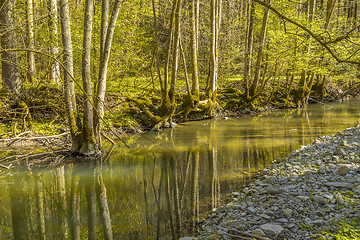 Image showing waterside scenery at spring time