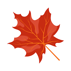 Image showing Autumn Maple Leaf