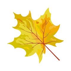 Image showing Autumn Maple Leaf