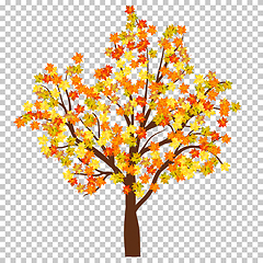 Image showing Fall (Autumn) Maple Background