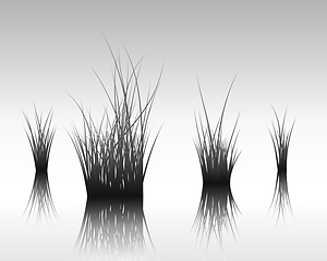 Image showing grass on water