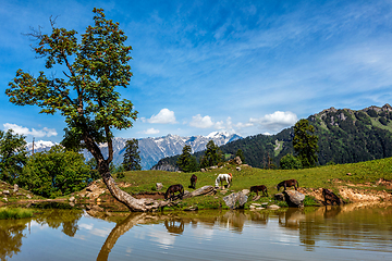 Image showing Indian Himalayan landscape in Himalayas