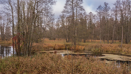 Image showing Autumnal misty erly morning by forest river