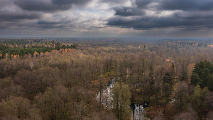 Image showing Polish part of Bialowieza Forest to south