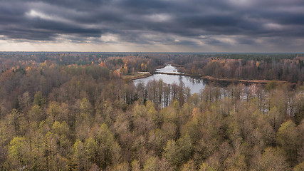 Image showing Polish part of Bialowieza Forest to south