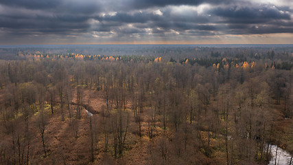 Image showing Polish part of Bialowieza Forest to south