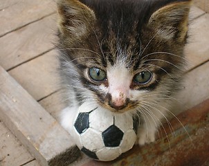 Image showing little soccer player