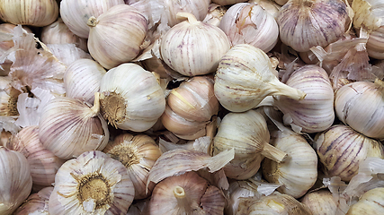 Image showing Pile of garlic heads close-up in a supermarket,