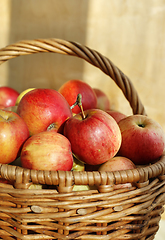 Image showing Bright tasty ripe apples in a basket