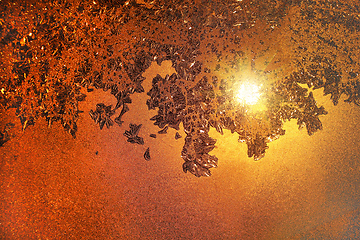Image showing Ice pattern and sunlight on morning winter glass