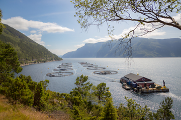 Image showing Farm salmon fishing in Norway