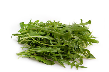 Image showing Rucola