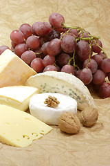 Image showing Cheese_2