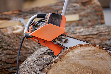 Image showing Woodcutter saws tree with electric chain saw on sawmill. Chainsa