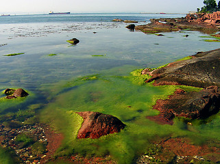 Image showing rocky coast