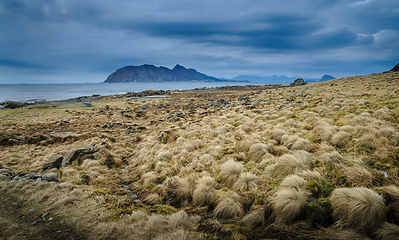 Image showing desert landscape 