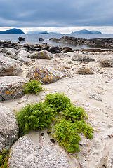 Image showing beach and rocks