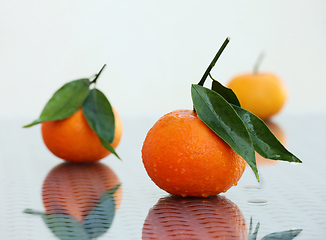 Image showing Three ripe tangerines