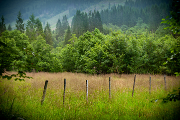 Image showing landscape with trees