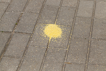 Image showing feeding millet