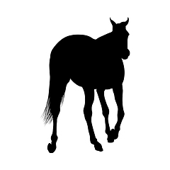 Image showing Horse Silhouette