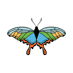 Image showing Butterfly Icon