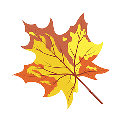 Image showing Autumn Maple Leaf