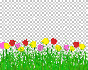 Image showing Summer meadow background with tulips