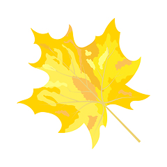 Image showing Autumn Maple Leaf