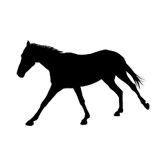 Image showing Horse Silhouette