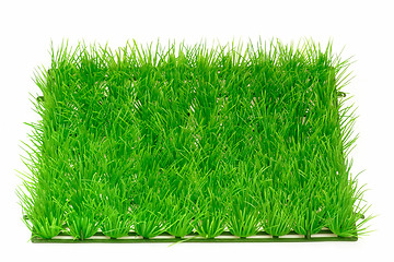 Image showing Grass meadow_1