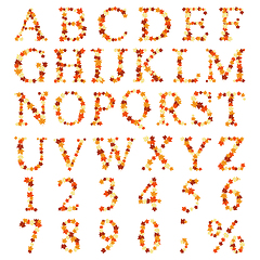 Image showing Autumn maples leaves letter