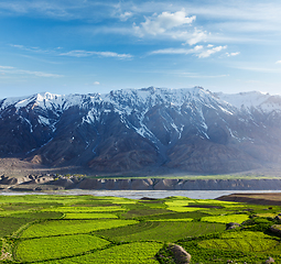 Image showing Spiti Valley