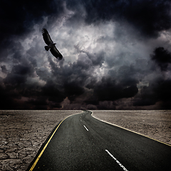 Image showing Storm, bird, road in desert