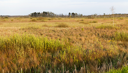 Image showing spring landscape