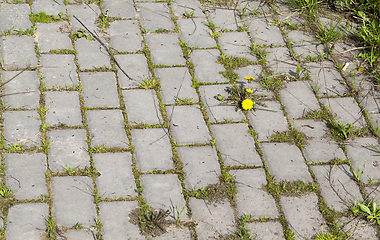 Image showing old overgrown tile