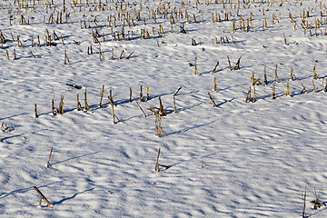 Image showing snow-covered land