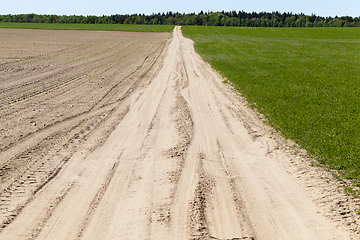 Image showing field road