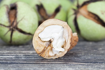 Image showing cracked ripened walnuts